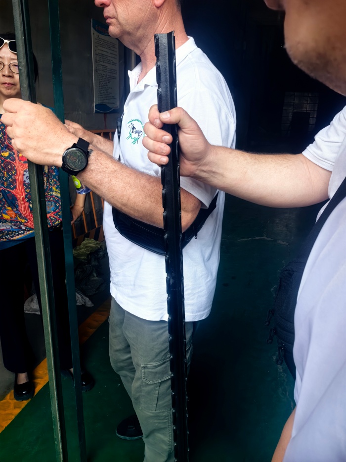 Past-Ukraine-Stock-fence-4