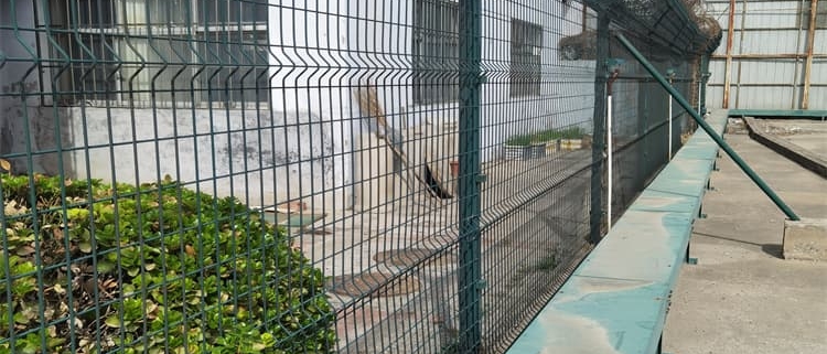 How to Install Prison-Grade Steel Mesh Fence Right—Safety, Specs & Why Cutting Corners Risks Everything