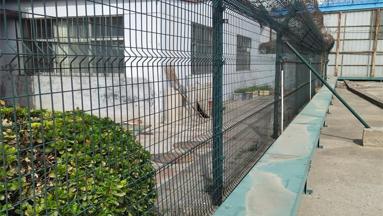 How to Install Prison-Grade Steel Mesh Fence Right—Safety, Specs & Why Cutting Corners Risks Everything